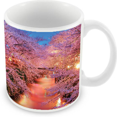 

Sleep Nature's SN-MG-2193 Ceramic Mug(350 ml), Multicolor