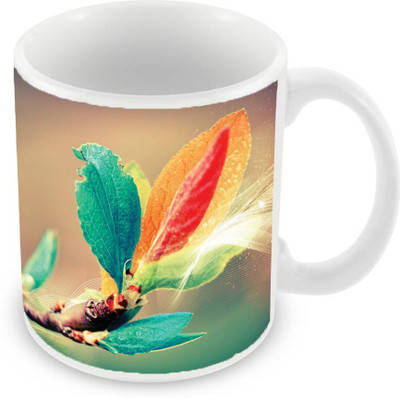 

Sleep Nature's SN-MG-2351 Ceramic Mug(350 ml), Multicolor