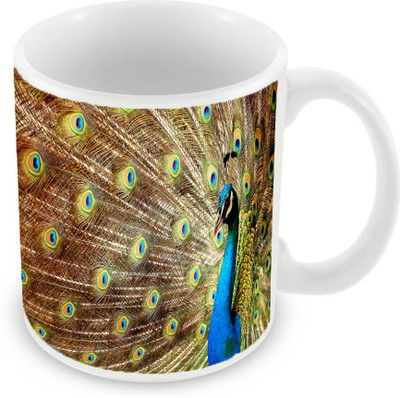 

Sleep Nature's SN-MG-141 Ceramic Mug(350 ml), Multicolor