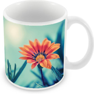 

Sleep Nature's SN-MG-1999 Ceramic Mug(350 ml), Multicolor