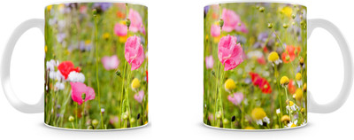 

Mott2 Hswm002 (59) Mott2s Ceramic Mug(350 ml)