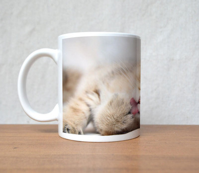 60% OFF on StyBuzz Cat Open The Toungh Porcelain Mug(300 ml) 60% OFF on StyBuzz Cat Open The Toungh Porcelain Mug(300 ml)
