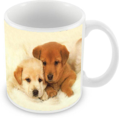 

Sleep Nature's SN-MG-1661 Ceramic Mug(350 ml), Multicolor