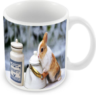 

Sleep Nature's SN-MG-570 Ceramic Mug(350 ml), Multicolor