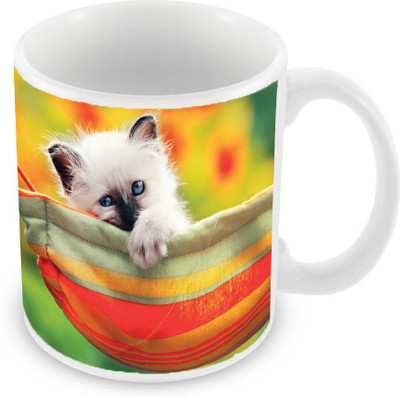

Sleep Nature's SN-MG-1577 Ceramic Mug(350 ml), Multicolor