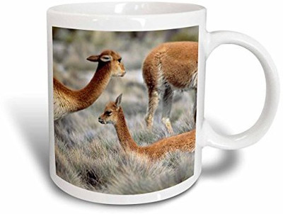

3dRose mug_141035_2 Vicuna Wildlife, Altiplano, Chile SA05 MZW0083 Martin Zwick Ceramic, 15 oz, White Ceramic Mug(60 ml), Multicolor