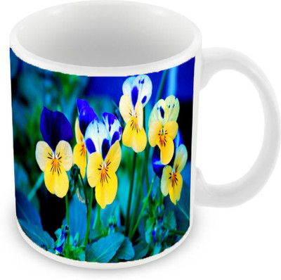 

Sleep Nature's SN-MG-967 Ceramic Mug(350 ml), Multicolor
