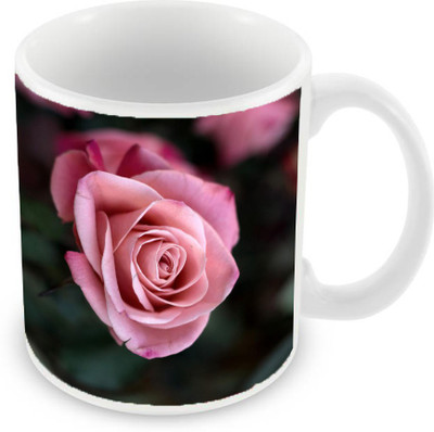 

Sleep Nature's SN-MG-1578 Ceramic Mug(350 ml), Pink