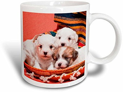 

3dRose Coton De Tulear Puppy Dogs US03 ZMU0020 Zandria Muench Beraldo Ceramic, 15-Ounce Ceramic Mug(60 ml), Multicolor