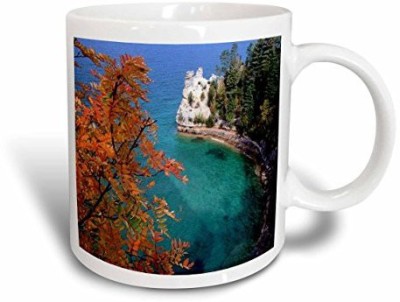 

3dRose mug_57608_1 Lake Superior Michigan Ceramic, 11 oz, White Ceramic Mug(60 ml), Multicolor