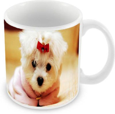 

Sleep Nature's SN-MG-27 Ceramic Mug(350 ml), Yellow