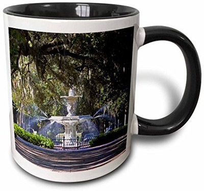 

3dRose Water Fountain, forsyth Park, Savannah, Georgia Us11 Dfr0070 David R. Frazier Two Tone Black, 11 oz, Black/White Ceramic Mug(60 ml), Multicolor