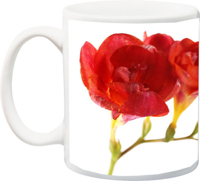 

ME&YOU Special Beautifull Red Flowers with Roses 3D Printed Ceramic Mug(325 ml), Multicolor