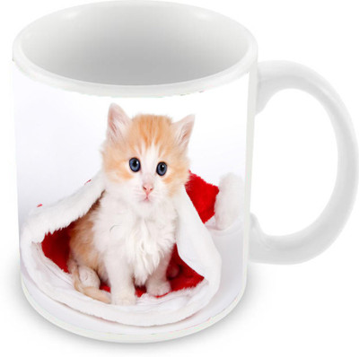 

Sleep Nature's SN-MG-1235 Ceramic Mug(350 ml), White