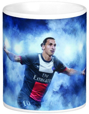 

Exoctic Silver Euro 16 All Star Series 004 Ceramic Mug(300 ml), Multicolor