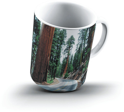 

Ucard Redwood Road Sequoia National Park2634 Bone China, Ceramic, Porcelain Mug(325 ml)