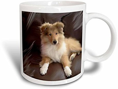 

3dRose Rough Collie Puppy Ceramic, 11-Ounce Ceramic Mug(60 ml), Multicolor