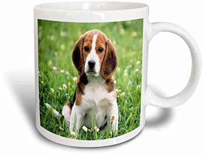 

3dRose for Love of a Beagle Ceramic, 15-Ounce Ceramic Mug(60 ml), Multicolor
