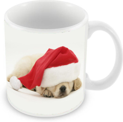 

Sleep Nature's SN-MG-1299 Ceramic Mug(350 ml), Multicolor