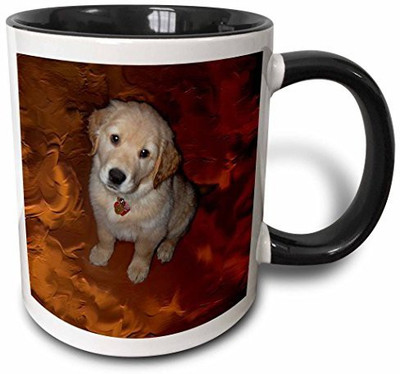 

3dRose Golden Retriver Puppy Two Tone Black, 11 oz, Black/White Ceramic Mug(60 ml), Multicolor