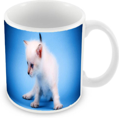 

Sleep Nature's SN-MG-762 Ceramic Mug(350 ml), Blue
