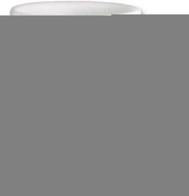 

PhotogiftsIndia Let's Enjoy This Day Ceramic Mug(325 ml), Multicolor