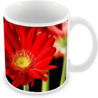

Sleep Nature's SN-MG-41 Ceramic Mug(350 ml), Red
