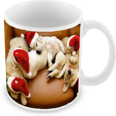 

Sleep Nature's SN-MG-1090 Ceramic Mug(350 ml), Multicolor