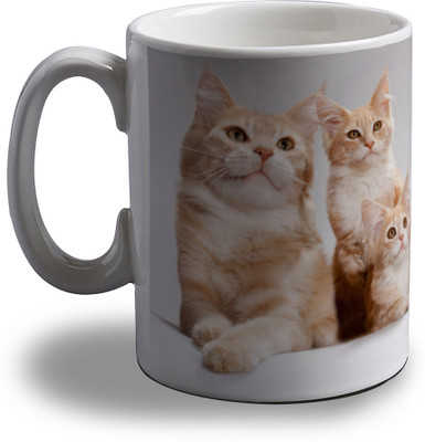 

Artifa Cute Cats Porcelain, Ceramic Mug(350 ml), Multicolor