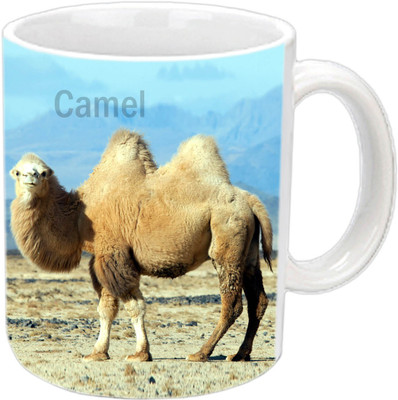 

Raj Laxmi Stylish camel white Ceramic Mug(350 ml)