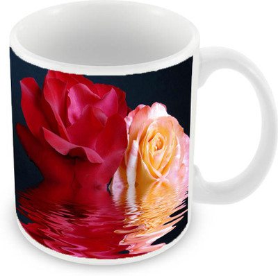 

Sleep Nature's SN-MG-723 Ceramic Mug(350 ml), Multicolor