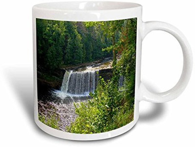 

3dRose mug_21726_1 Tahquamenon Upper Falls Ceramic, 11 oz, White Ceramic Mug(60 ml), Multicolor