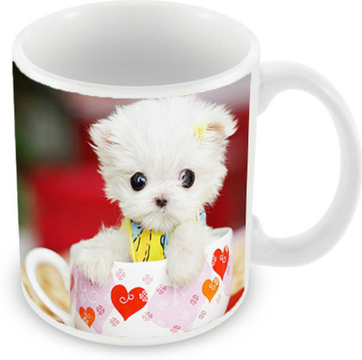 

Sleep Nature's SN-MG-38 Ceramic Mug(350 ml), White