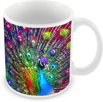 

Sleep Nature's SN-MG-132 Ceramic Mug(350 ml), Multicolor
