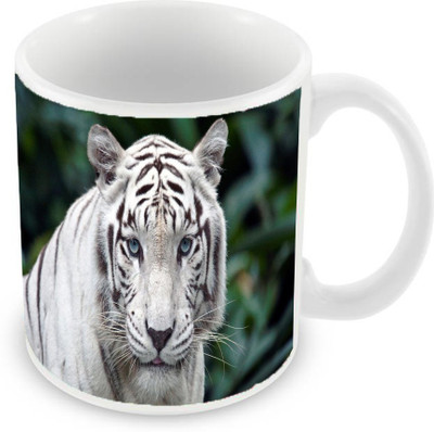 

Sleep Nature's SN-MG-821 Ceramic Mug(350 ml), Multicolor