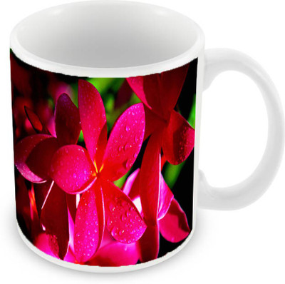 

Sleep Nature's SN-MG-992 Ceramic Mug(350 ml), Red