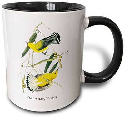 

3dRose Prothonotary Warbler By John James Audubon Two Tone Black, 11 oz, Black/White Ceramic Mug(60 ml), Multicolor