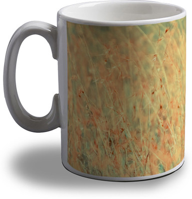 Artifa Leopard Ceramic, Porcelain Coffee Mug(350 ml)