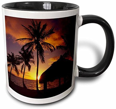 

3dRose Checca Lodge, Islamorada, Florida Us10 Dpb0052 Douglas Peebles Two Tone Black, 11 oz, Black/White Ceramic Mug(60 ml), Multicolor