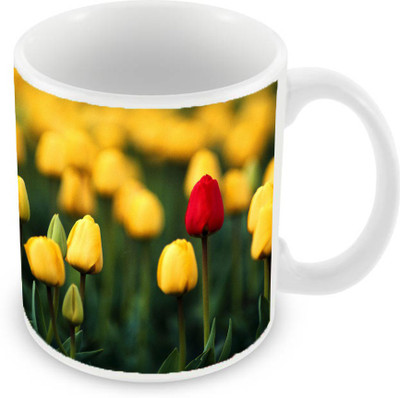 

Sleep Nature's SN-MG-1611 Ceramic Mug(350 ml), Yellow