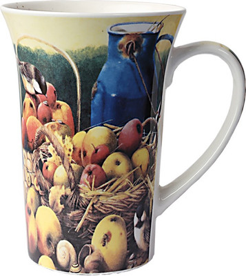 

Aspirationz Az-ME-1881 Bone China, Porcelain Mug(390 ml), Multicolor