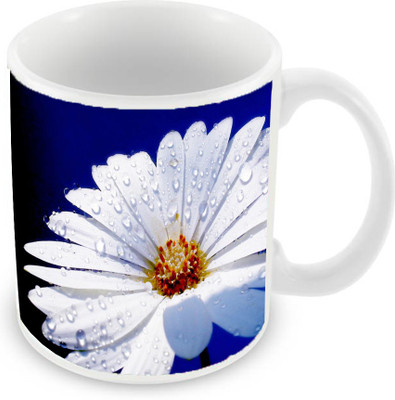 

Sleep Nature's SN-MG-40 Ceramic Mug(350 ml), White