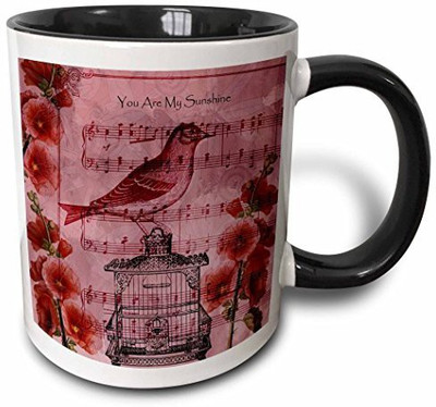 

3dRose mug_123417_4 You Are My Sunshine Bird on Cage with Hollyhock Flowers Two Tone Black, 11 oz, Black/White Ceramic Mug(60 ml), Multicolor