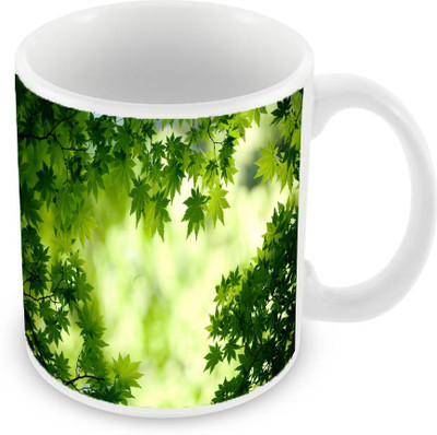 

Sleep Nature's SN-MG-501 Ceramic Mug(350 ml), Green
