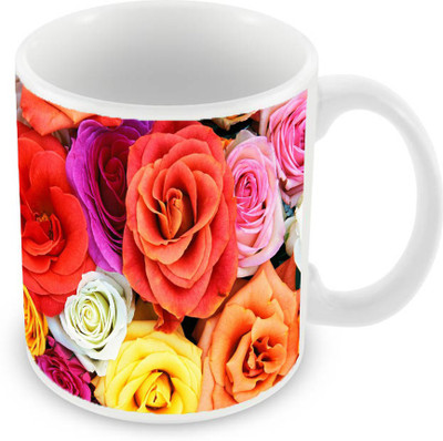 

Sleep Nature's SN-MG-906 Ceramic Mug(350 ml), Multicolor