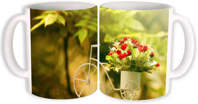 

PhotogiftsIndia rose bouquet on cycle Ceramic Mug(350 ml, Pack of 2), Multicolor