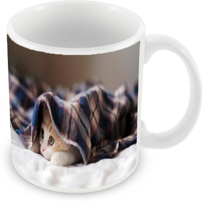 Sleep Nature's SN-MG-744 Ceramic Mug(350 ml), Multicolor