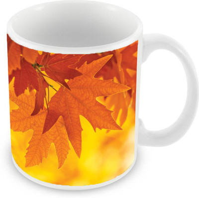 

Sleep Nature's SN-MG-2407 Ceramic Mug(350 ml), Yellow