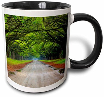 

3dRose USA, Georgia, Savannah, Wormsloe Plantation Us11 Jwl0610 Joanne Wells Two Tone Black, 11 oz, Black/White Ceramic Mug(60 ml), Multicolor