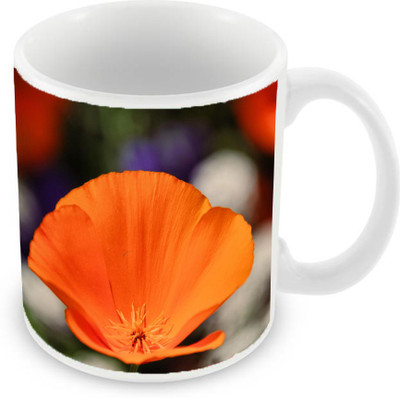 

Sleep Nature's SN-MG-1596 Ceramic Mug(350 ml), Orange